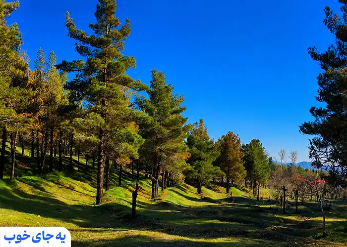 پارک جنگلی لویزان کجاست
